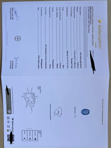 https://cdn.shopify.com/s/files/1/1015/8633/8124/files/FullSizeRender_91c4eaf3-541e-4707-ae04-0fd5f94f70ab.jpg?v=1785578998