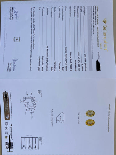 https://cdn.shopify.com/s/files/1/1015/8633/8124/files/FullSizeRender_08e41396-9c43-4ee2-98b7-51e8a3825da7.jpg?v=1785578971