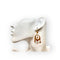 28239.webp