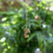 Pendentif Pendentif nugget vintage en or 22K 58 Facettes 11192