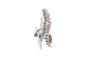 DSC09203.jpg
