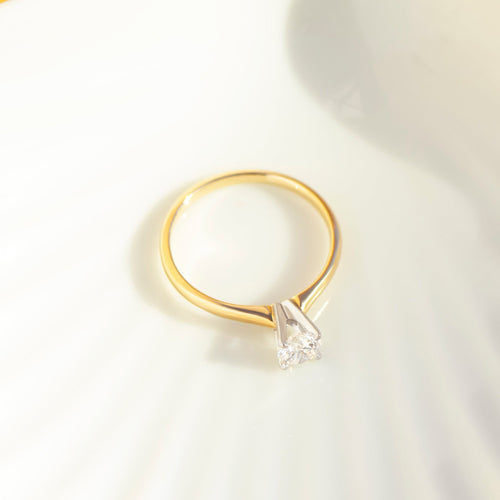 https://cdn.shopify.com/s/files/1/0442/6560/3235/files/DSC_0004.jpg?v=1786506619