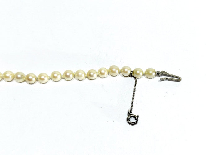20260513_160647.jpg