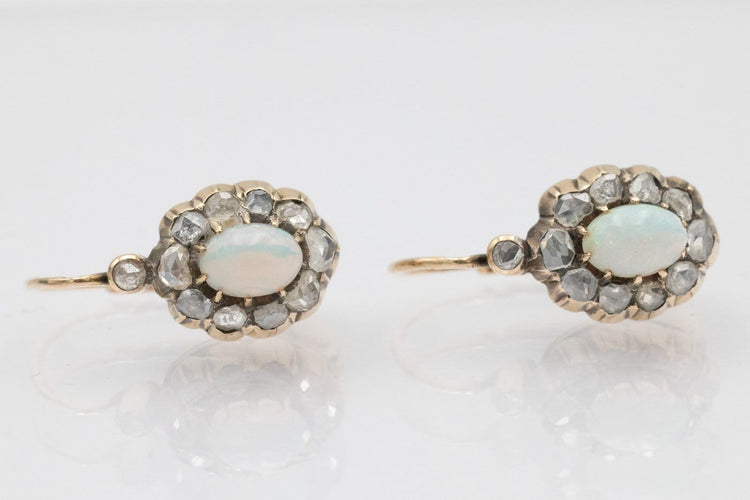 IMG_5659.jpg