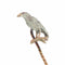 22283-0088.p06_A Victorian tiepin the white raven among antique jewels circa 1900-en.jpg