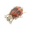 26127-0278.p03_A ca. 1880 billebroche med rødligt tigerøje og frøperler-en.jpg