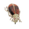 26127-0278.p04_A ca. 1880 billebroche med rødligt tigerøje og frøperler-en.jpg