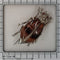 26127-0278.p08_A ca. 1880 billebroche med rødligt tigerøje og frøperler-en.jpg