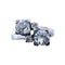 28499.webp