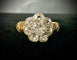 IMG_0519.jpg