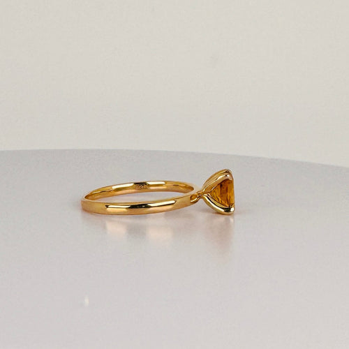 https://cdn.shopify.com/s/files/1/0829/5212/6812/files/Ringmetcitrien1.jpg?v=1787773916