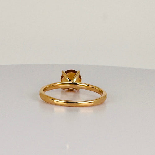 https://cdn.shopify.com/s/files/1/0829/5212/6812/files/Ringmetcitrien2.jpg?v=1787773916