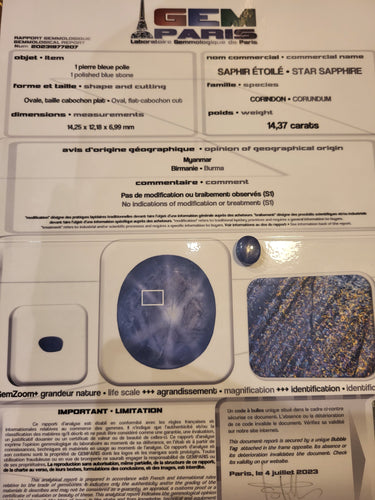 Saphir étoilé birman non chauffé - Cabochon 14,33 carats 58 Facettes P324