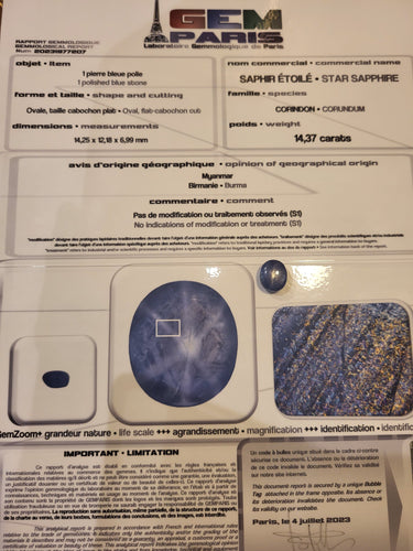 Saphir étoilé birman non chauffé - Cabochon 14,33 carats 58 Facettes P324