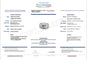55 Bague en or blanc 18k avec tourmaline Paraíba et diamants 58 Facettes ANELLO ROUND PARAIBA