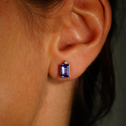 CAT02565.jpg