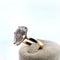 Bague Bague - Pierre centrale taille poire en or jaune 58 Facettes 250164