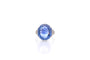 Bague 54 Bague en platine avec saphir de Ceylan 18,49 ct et diamants 58 Facettes 23318 / 23216