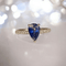 fin_01 (23).png