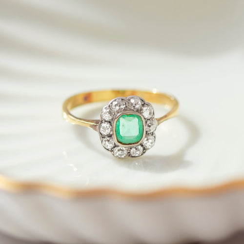 https://cdn.shopify.com/s/files/1/0442/6560/3235/files/DSC_0358.jpg?v=1789239878