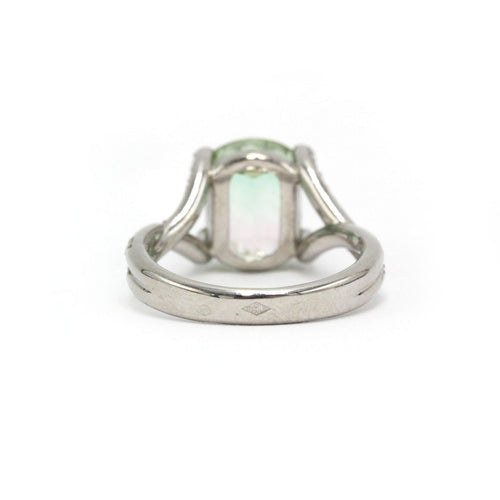Bague 53 Bague en or blanc, tourmaline watermelon et diamants 58 Facettes 260198R