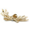https://unsiecledebijoux.com/wp-content/uploads/2026/03/10720-scaled.jpg