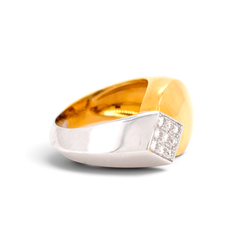 https://cdn.shopify.com/s/files/1/1015/8633/8124/files/DSC_0337.png?v=1790167233