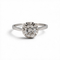 https://cdn.shopify.com/s/files/1/1015/8633/8124/files/7ddcb661-bb97-4a98-bf4c-4f032ce040cb.png?v=1790171728