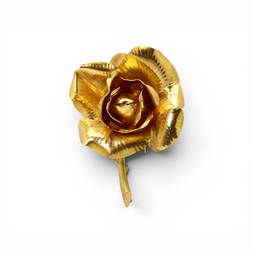 https://cdn.shopify.com/s/files/1/0605/8865/4788/files/5E888B67-3326-4D71-B040-8706B6D5F280.jpg?v=1790701184