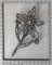 26260-0077.p08_Antique diamond floral trembleuse brooch in gold and silver circa 1840-en.jpg