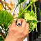 Bague 55 Bague Art déco en platine, saphir et diamants 58 Facettes 8E839DFE69BD4C69A5DE6153CFECA1BC