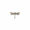 Broche Broche libellule en or blanc 750 avec diamants et pierres fines 58 Facettes Z15B51737