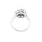 Bague 49 Bague fleur en or blanc et platine sertie de diamants 58 Facettes 34870