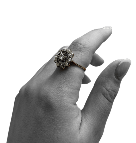 d1b61f8a-d1d7-4c73-e97b-6c0fdbc9c100