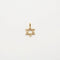 Pendentif Pendentif étoile de David or jaune 18 carats sertie de diamants naturels 58 Facettes