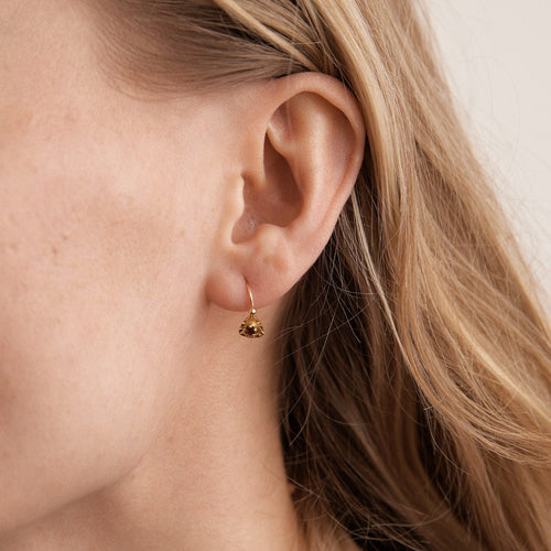 Boucles d'oreilles Dormeuses Grenats 58 Facettes DV0055-11