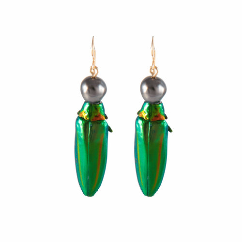 Boucles d'oreilles Boucles d'oreilles Scarabée Perles de Tahiti 58 Facettes 386.230