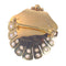 Broche Broche coquillage en or, diamants 58 Facettes 23046-0125
