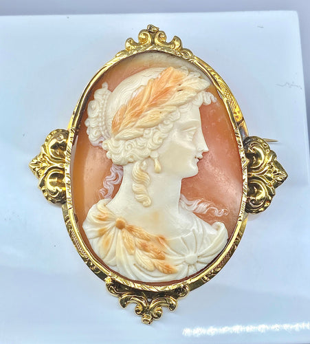 Broche Broche or jaune camée coquille vers 1850 58 Facettes AB302