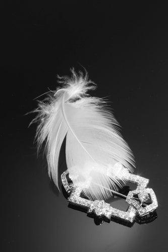 Broche Broche platine, diamant 58 Facettes 22329-0041