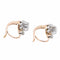 Boucles d'oreilles Boucles d'oreilles Dormeuses Or rose Diamant 58 Facettes 2090636CN