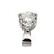 Pendentif Pendentif Or blanc Diamant 58 Facettes 2621611CN