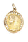 Pendentif MÉDAILLE VIERGE SIGNÉE E.DROPSY 58 Facettes 045911