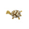 Broche Broche tortue émaillée 58 Facettes 28598
