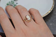 Bague Bague Camée sur coquillage 58 Facettes Ref1658