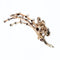 Broche Broche ancienne diamants branche fleurie 58 Facettes 22-010