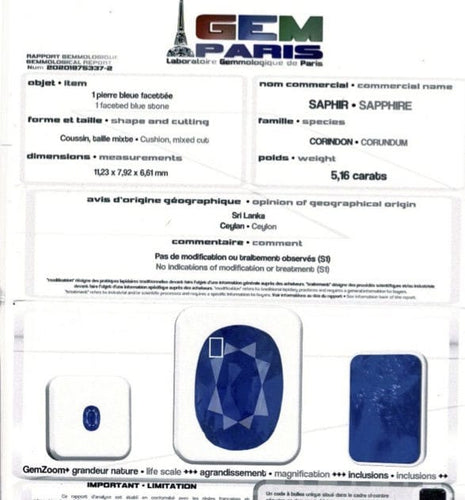 Bague 53 Bague saphir 5,17 carats en or blanc et diamants. 58 Facettes 30694