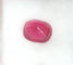 Gemstone Rubis 9,02 cts 58 Facettes 379