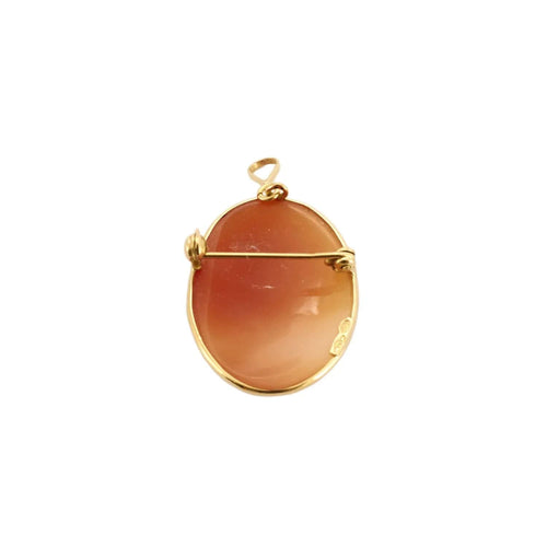 Pendentif Pendentif-Broche Or jaune Camée sur Agate 58 Facettes BO/230089