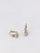 Boucles d'oreilles Boucles d’oreilles dormeuses diamants taille ancienne 58 Facettes 799